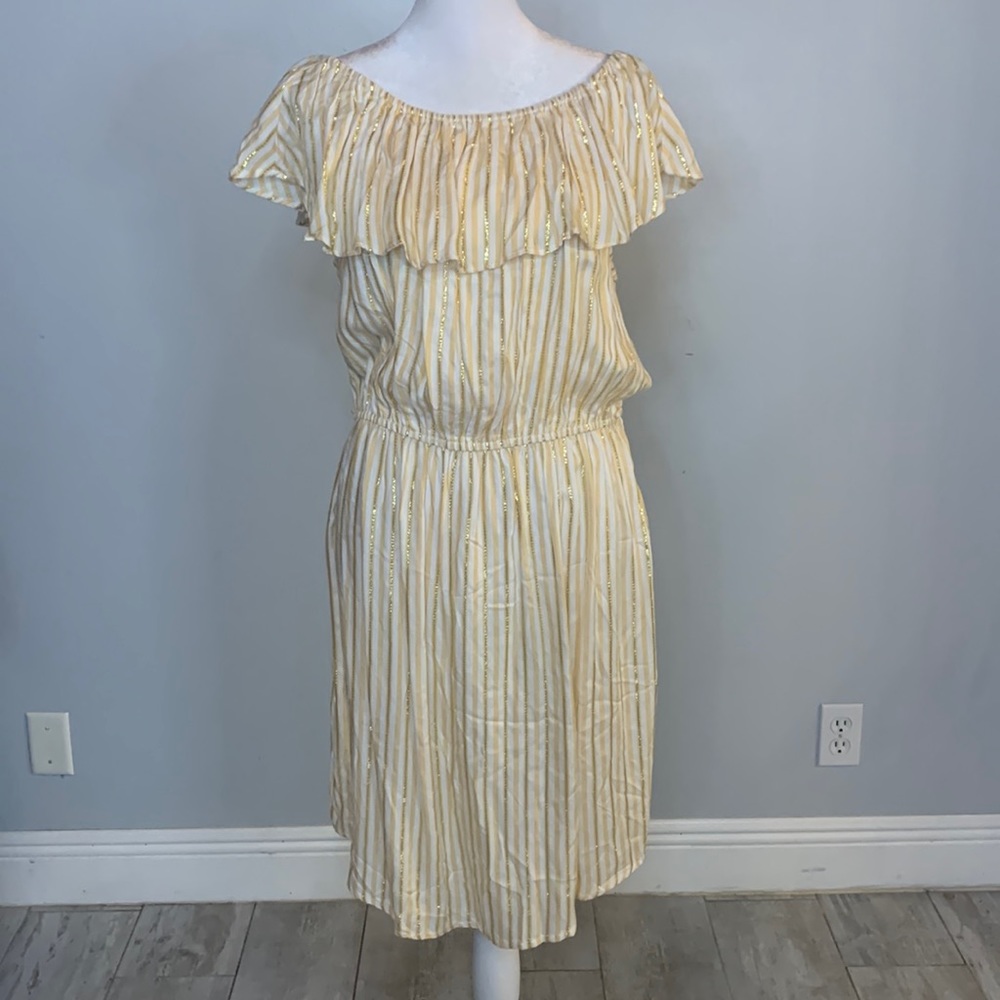 [Adriebbe Vittadini] Metallic Striped Dress - Size Large NWT